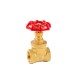 Female 1.6MPa brass stop valve